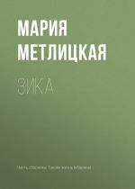 Скачать книгу Зика автора Мария Метлицкая