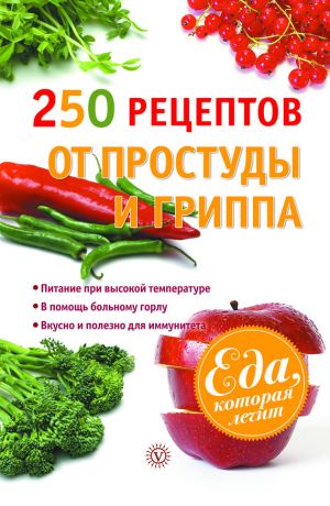 обложка книги 250 рецептов от простуды и гриппа автора Виктор Ильин