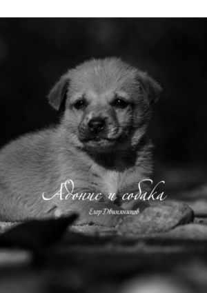 обложка книги Адонис и собака автора Егор Двинянинов