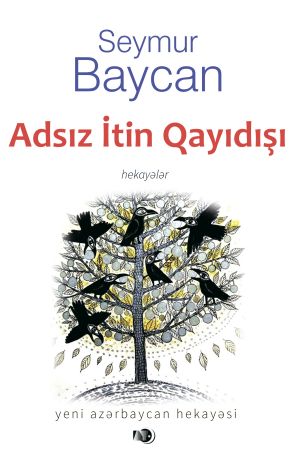 обложка книги Adsız itin qayıdışı автора Seymur Baycan
