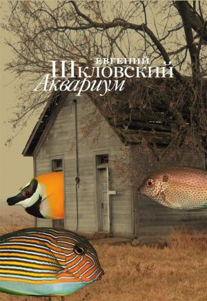 обложка книги Аквариум (сборник) автора Евгений Шкловский