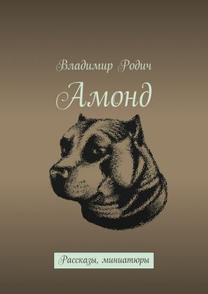 обложка книги Амонд автора Владимир Родич