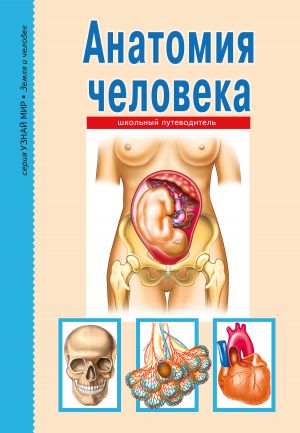 обложка книги Анатомия человека автора Сергей Афонькин
