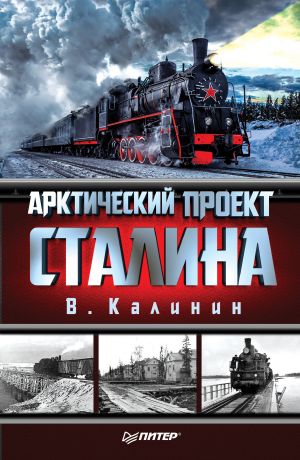 обложка книги Арктический проект Сталина автора Вячеслав Калинин