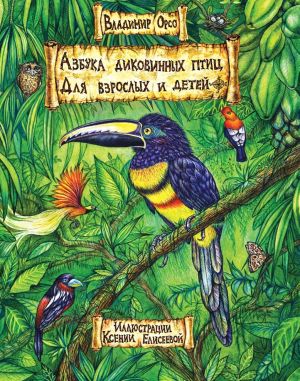 обложка книги Азбука диковинных птиц. Для взрослых и детей автора Владимир Орсо