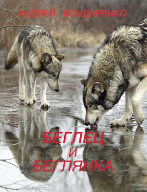 обложка книги Беглец и Беглянка автора Андрей Бондаренко