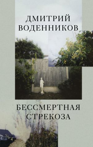 обложка книги Бессмертная стрекоза автора Дмитрий Воденников