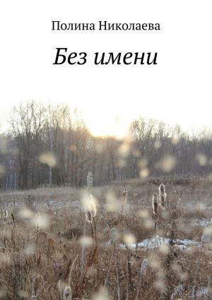 обложка книги Без имени автора Полина Николаева