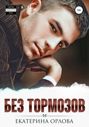 обложка книги Без тормозов автора Екатерина Орлова