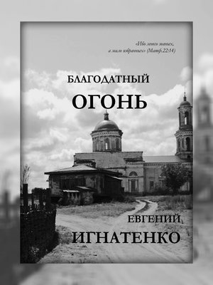 обложка книги Благодатный огонь автора Евгений Игнатенко