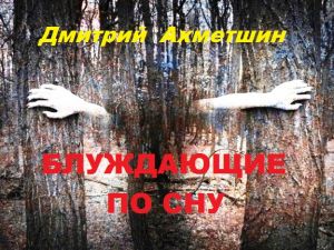 обложка книги Блуждающие по сну автора Дмитрий Ахметшин
