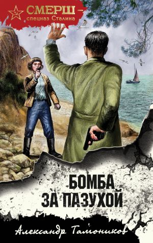 обложка книги Бомба за пазухой автора Александр Тамоников