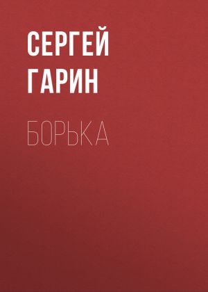 обложка книги Борька автора Сергей Гарин
