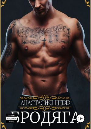 обложка книги Бродяга автора Анастасия Шерр
