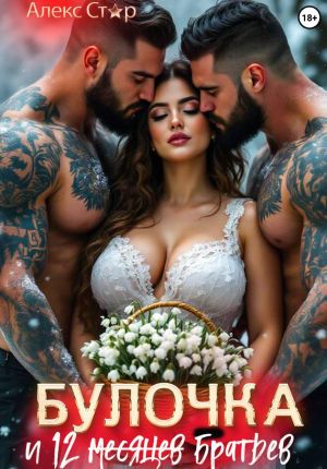 обложка книги Булочка и 12 (месяцев) братьев автора Алекс Стар