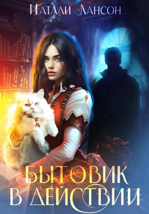 обложка книги Бытовик в действии автора Натали Лансон
