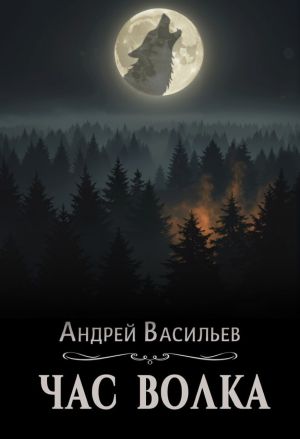 обложка книги Час волка автора Андрей Васильев
