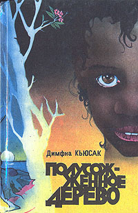 обложка книги Чёрная молния автора Димфна Кьюсак