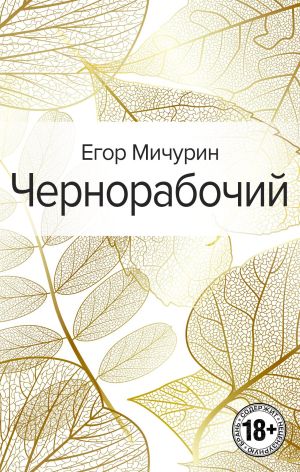 обложка книги Чернорабочий автора Егор Мичурин