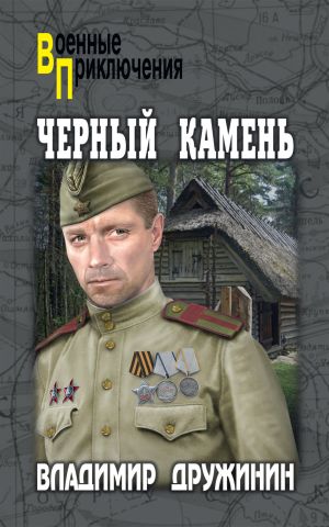 обложка книги Черный камень автора Владимир Дружинин
