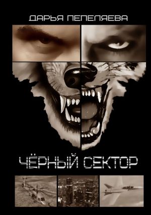 обложка книги Чёрный сектор автора Дарья Пепеляева