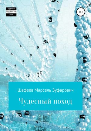 обложка книги Чудесный поход автора Марсель Шафеев