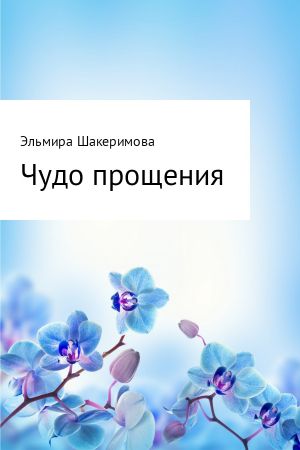 обложка книги Чудо прощения автора Эльмира Шакеримова