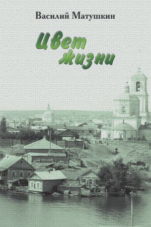 обложка книги Цвет жизни автора Василий Матушкин