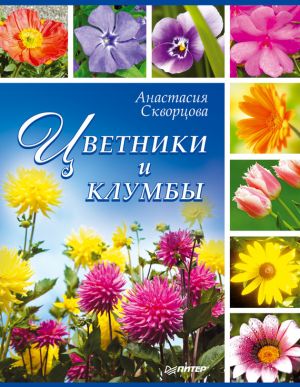 обложка книги Цветники и клумбы автора Анастасия Скворцова