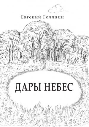 обложка книги Дары небес автора Евгений Голянин