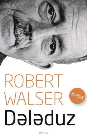 обложка книги Dələduz автора Роберт Вальзер