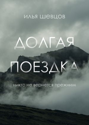 обложка книги Долгая поездка автора Илья Шевцов