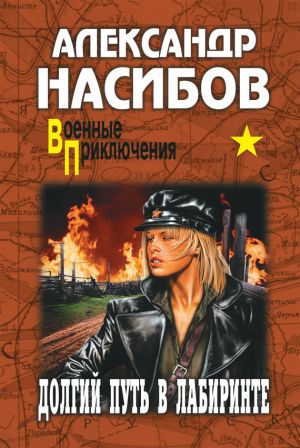 обложка книги Долгий путь в лабиринте автора Александр Насибов