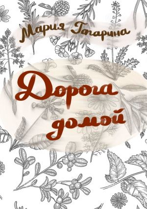 обложка книги Дорога домой автора Мария Гагарина
