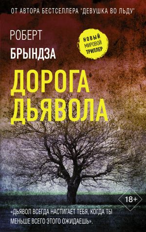 обложка книги Дорога дьявола автора Роберт Брындза