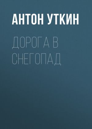 обложка книги Дорога в снегопад автора Антон Уткин