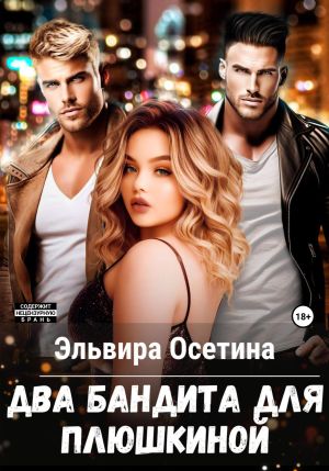обложка книги Два бандита для Плюшкиной автора Эльвира Осетина