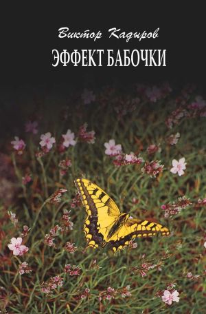 обложка книги Эффект бабочки автора Виктор Кадыров