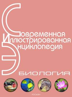 обложка книги Энциклопедия «Биология» (с иллюстрациями) автора Александр Горкин