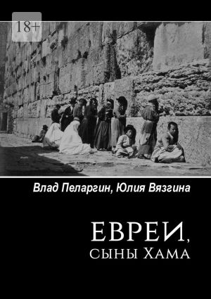 обложка книги Евреи, сыны Хама автора Влад Пеларгин
