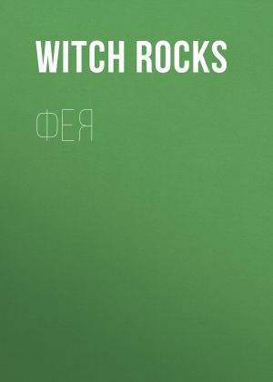 обложка книги Фея автора Witch Rocks