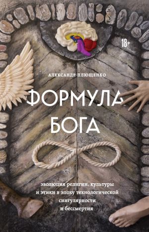 обложка книги Формула Бога. Эволюция религии, культуры и этики в эпоху технологической сингулярности и бессмертия автора Александр Плющенко