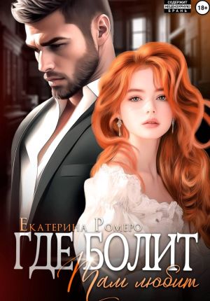 обложка книги Где болит, там любит автора Екатерина Ромеро