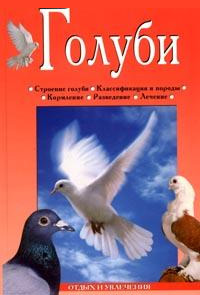 обложка книги Голуби автора Линиза Жалпанова