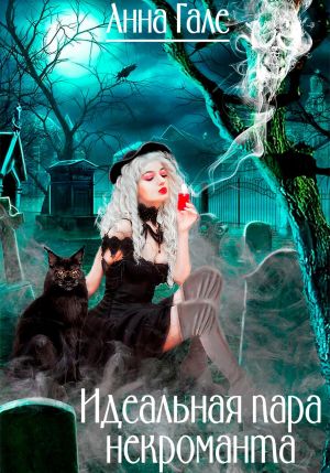 обложка книги Идеальная пара некроманта автора Анна Гале