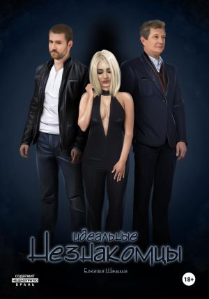 обложка книги Идеальные незнакомцы автора Евгения Шамшина
