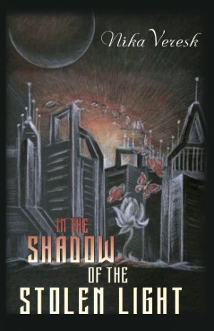 обложка книги In the shadow of the stolen light автора Nika Veresk