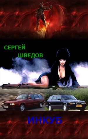 обложка книги Инкуб автора Сергей Шведов