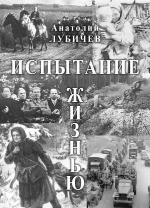 обложка книги Испытание жизнью автора Анатолий Лубичев