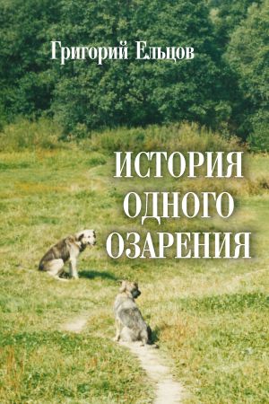 обложка книги История одного озарения автора Григорий Ельцов